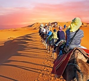merzouga-camel trekking