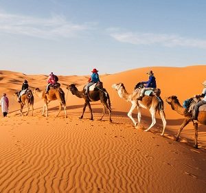 merzouga desert morocco tours